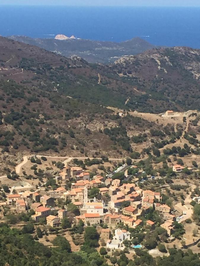 Villa Grand Confort A 500M De La Plage De Lozari Palasca  Kültér fotó